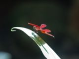20120808 IMG 4752