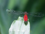 20120808 IMG 4756