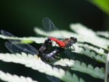 20120808 IMG 4759