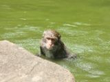 20120808 IMG 4773