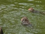 20120808 IMG 4781