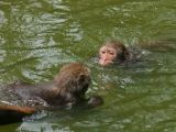 20120808 IMG 4784