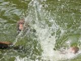 20120808 IMG 4785