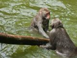20120808 IMG 4786