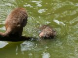 20120808 IMG 4791