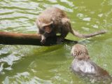 20120808 IMG 4792