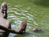 20120808 IMG 4794