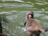 20120808 IMG 4796