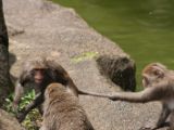 20120808 IMG 4799