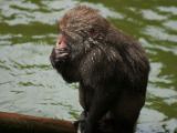 20120808 IMG 4802