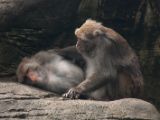 20120808 IMG 4803