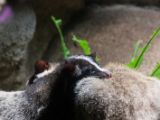 20120808 IMG 4812