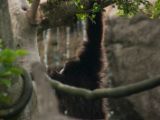 20120808 IMG 4823