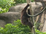 20120808 IMG 4835