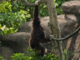 20120808 IMG 4836