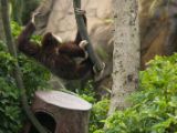 20120808 IMG 4837