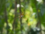 20120808 IMG 4845