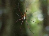 20120808 IMG 4848