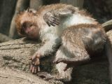 20120808 IMG 4850
