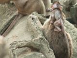 20120808 IMG 4853