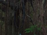 20120808 IMG 4861
