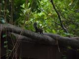 20120808 IMG 4864