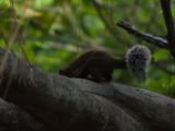 20120808 IMG 4865