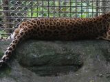 20120808 IMG 4874