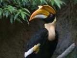 20120808 IMG 4881