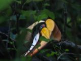 20120808 IMG 4884