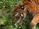 20120808 IMG 4896
