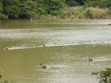 20120808 IMG 4906