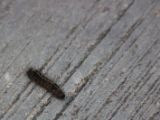 20120808 IMG 4929