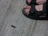20120808 IMG 4930