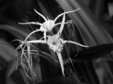 20120808 IMG 4931