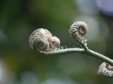 20120808 IMG 4932