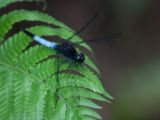 20120808 IMG 4937