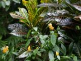 20120808 IMG 4938