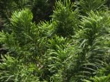 20120808 IMG 4939