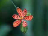 20120808 IMG 4941