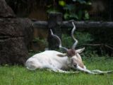 20120808 IMG 4945