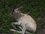 20120808 IMG 4947