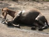20120808 IMG 4957