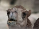 20120808 IMG 4961