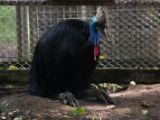 20120808 IMG 4967