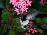 20120808 IMG 4978