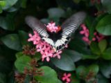 20120808 IMG 4980