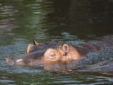 20120808 IMG 4984