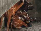 20120808 IMG 4990