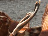 20120808 IMG 4991